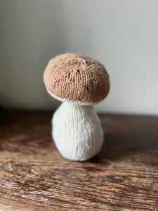Knitted Mushroom Stuffie